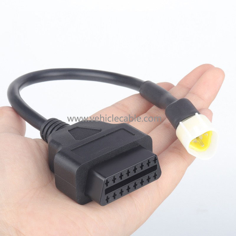 Motorbike Bluemore, Murray Adaptor Cable 