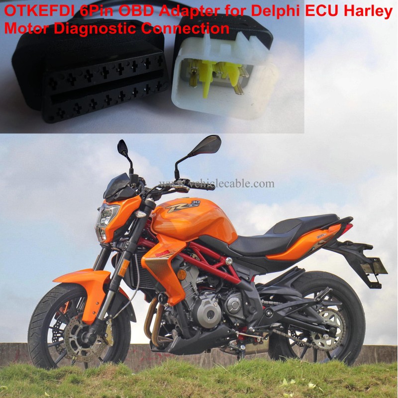 6Pin Motor Bike OBD Adapter,Motorrad Motorcycle OBD2 Diagnostic Cable Connector for Delphi ECU Motors 