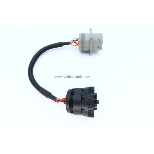 Type 1 J1939 to Cat 9pin Cable