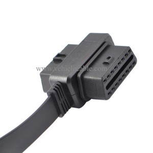 OLLGEN 30cm OBD II OBD2 16 Pin Car Diagnostic Splitter Cord Male to Dual Female Extension Cable Adapter 
