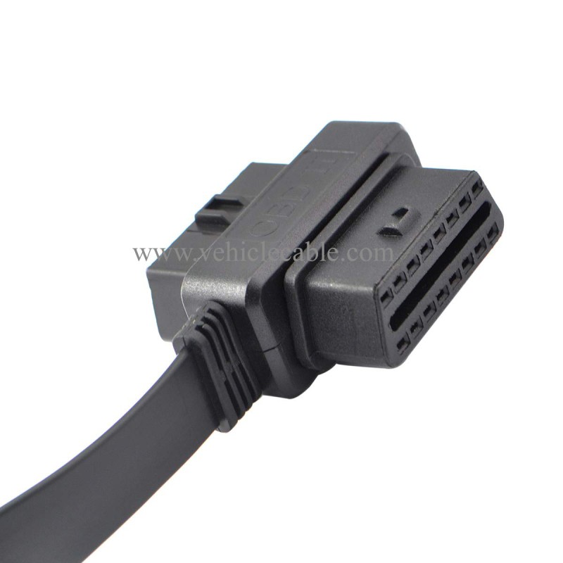 OLLGEN 30cm OBD II OBD2 16 Pin Car Diagnostic Splitter Cord Male to Dual Female Extension Cable Adapter 